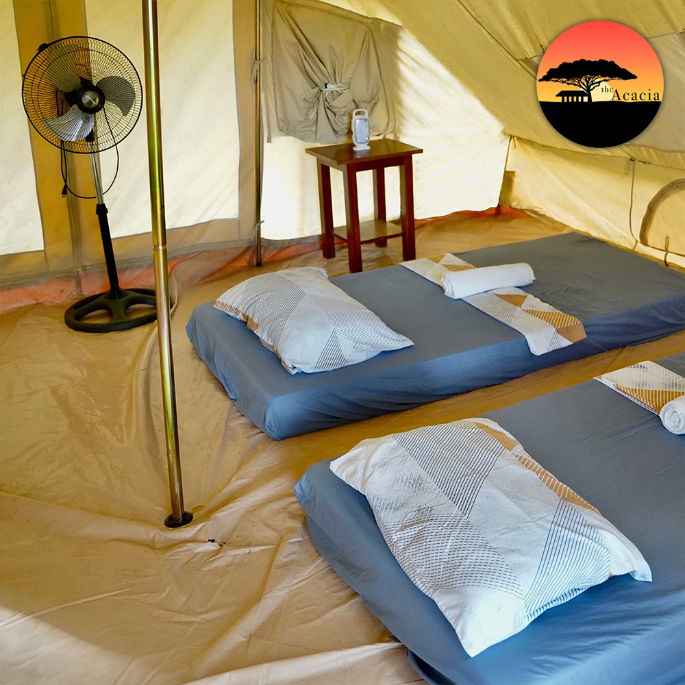 Baol Tent (Duo Tent)