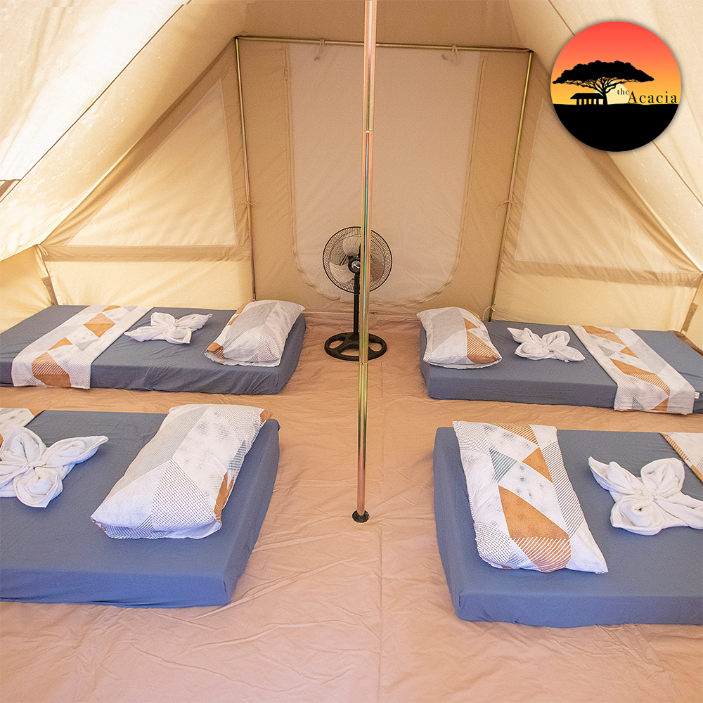 Baol Tent (Quad Suite)