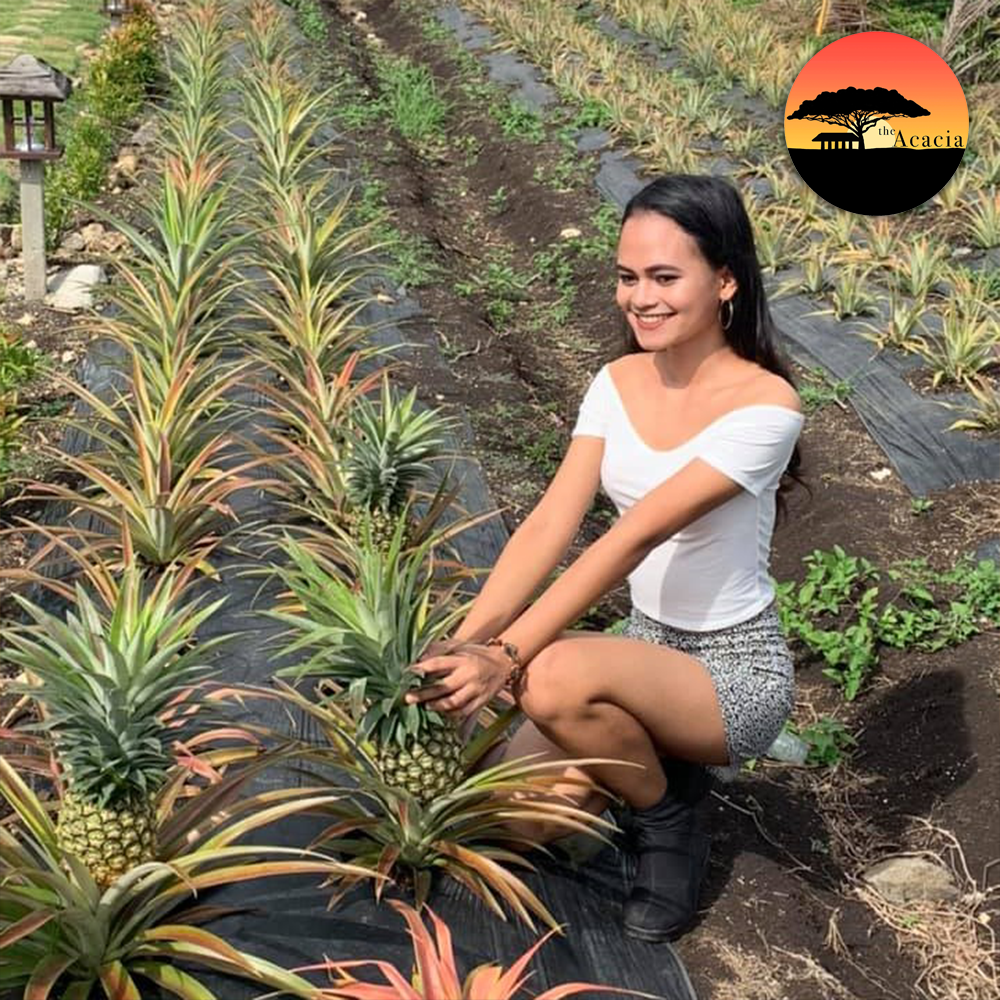 Be a Farmer for a Day